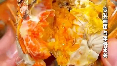 王心凌发声：未经审批的节目，你敢上吗行业痛点大